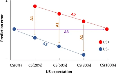 Liu et al. 2026_Fig1