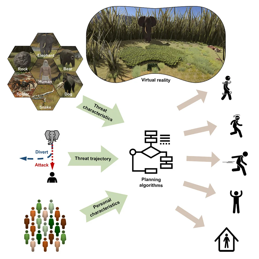 Graphical abstract Sporrer et al.