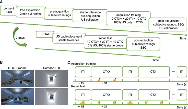 VR task used in experiments.jpg